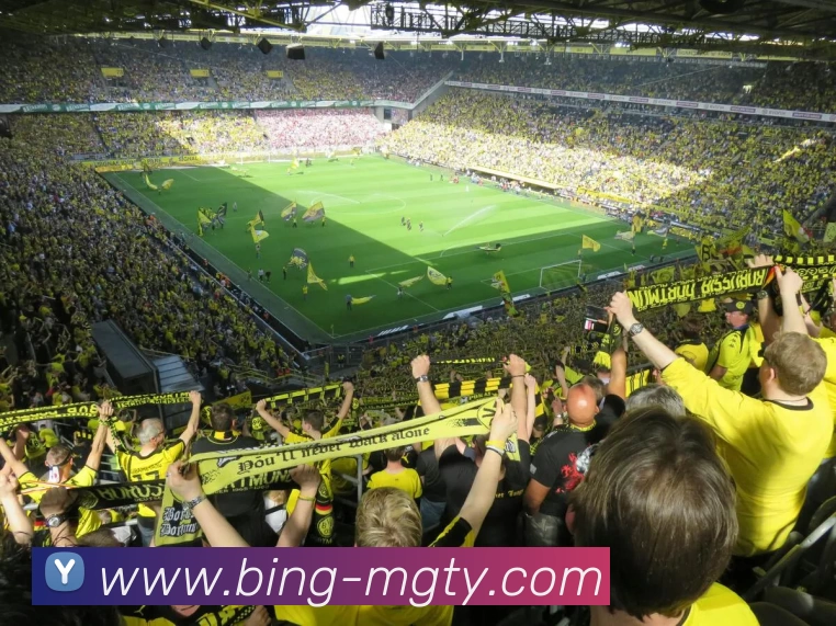 摩根体育平台生态图